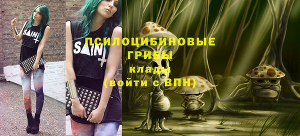 тгк Медвежьегорск