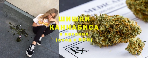 PSILOCYBIN Мегион