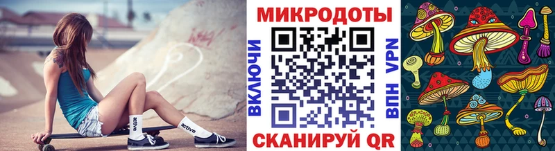 мега ТОР  Новоалтайск  Галлюциногенные грибы мицелий 