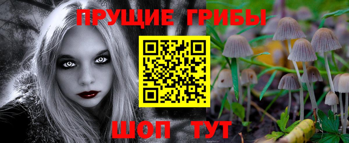 Галлюциногенные грибы мицелий  Псилоцибиновые грибы MAGIC MUSHROOMS  Новоалтайск  Вход с VPN 