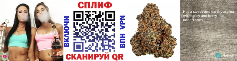 Шишки марихуана Ganja Новоалтайск